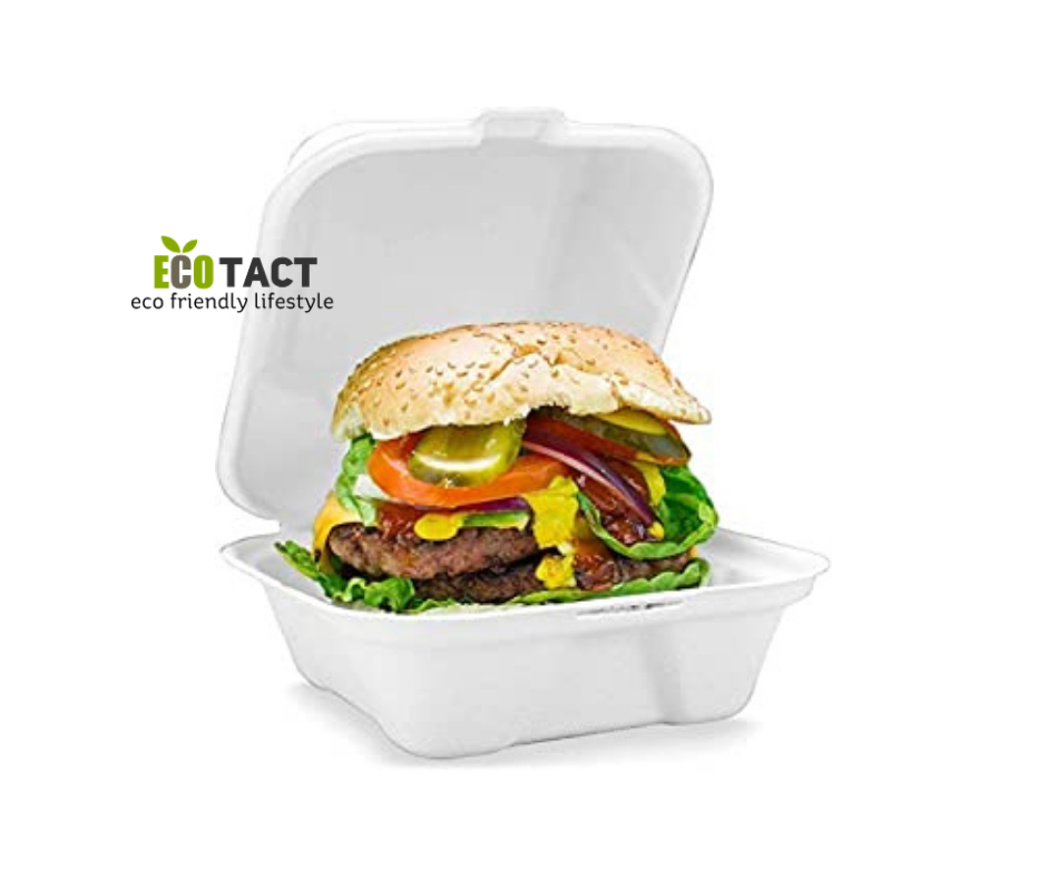 Eco 6″ BAGASSE BURGER Takeaway Container