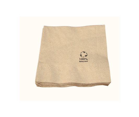 KRAFT RECYCLED NAPKIN – 2 PLY (Pack of 100)